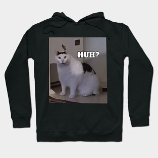 Huh Cat Meme Hoodie